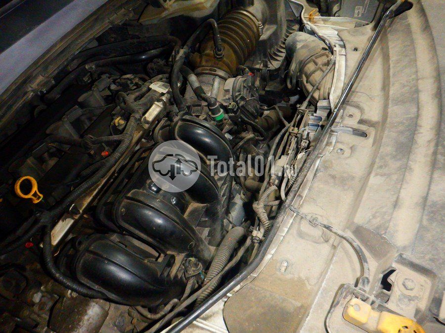 Фото Ford Kuga 234