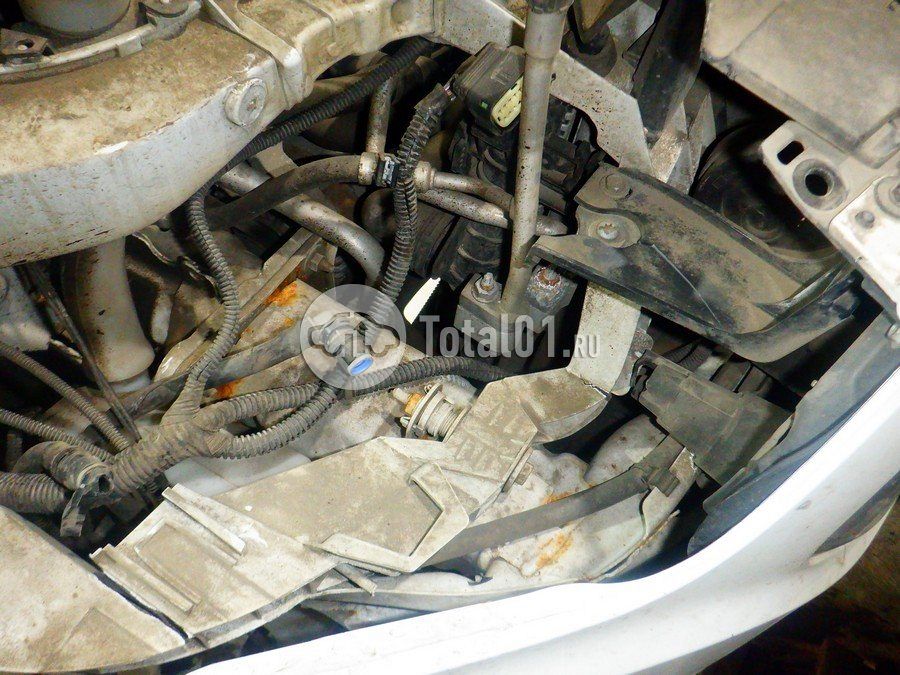 Фото Ford Kuga 238