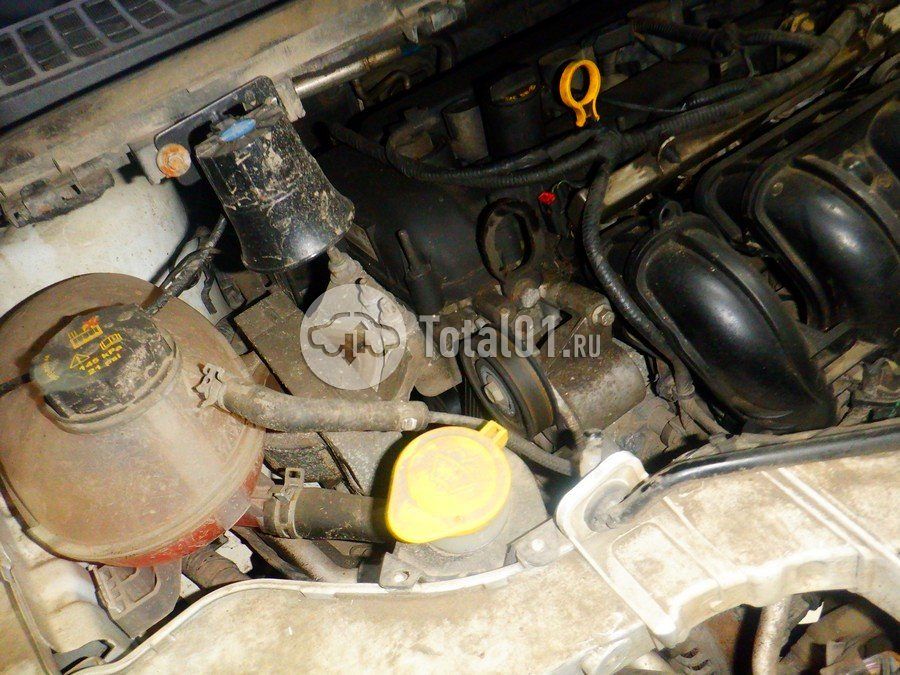 Фото Ford Kuga 242