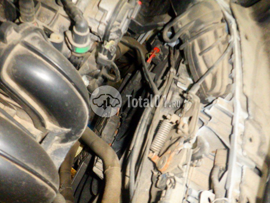 Фото Ford Kuga 244