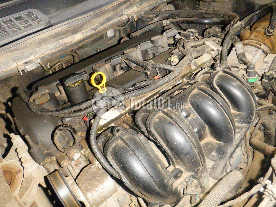 Фото Ford Kuga 246