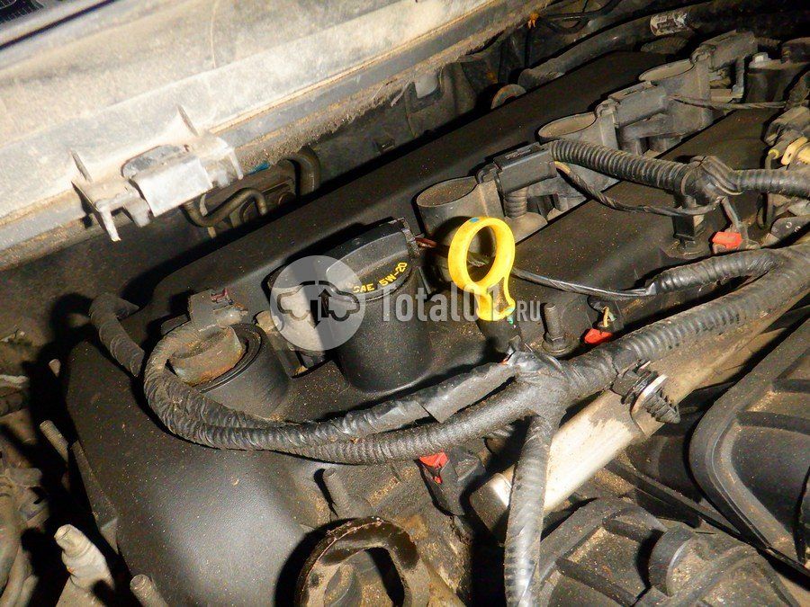 Фото Ford Kuga 248