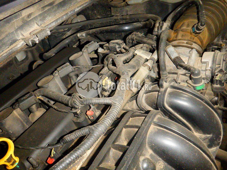 Фото Ford Kuga 250