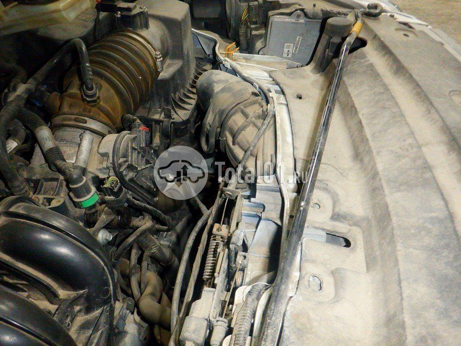 Фото Ford Kuga 256