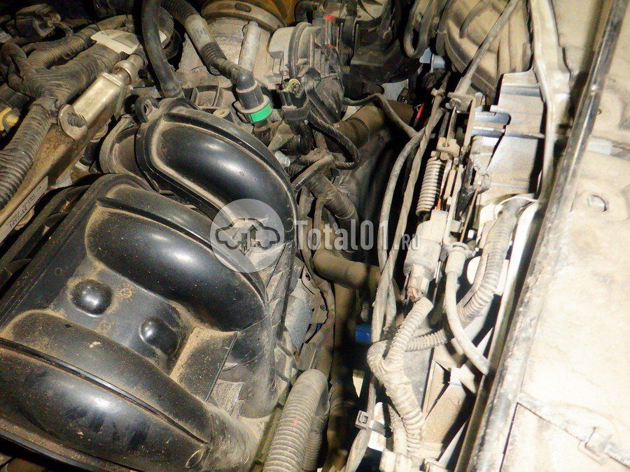 Фото Ford Kuga 258