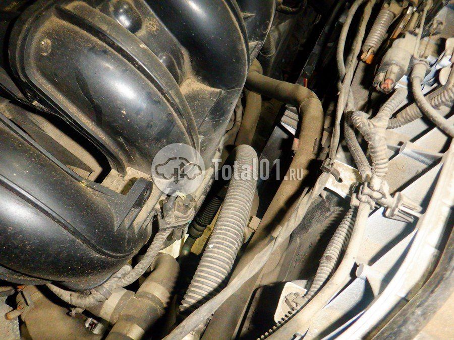 Фото Ford Kuga 260