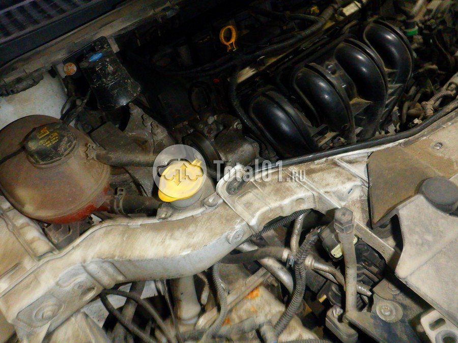 Фото Ford Kuga 262