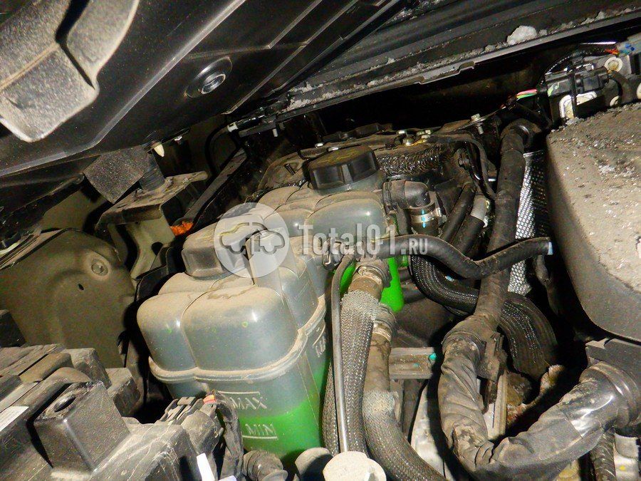 Фото Wey Coffee 01 334