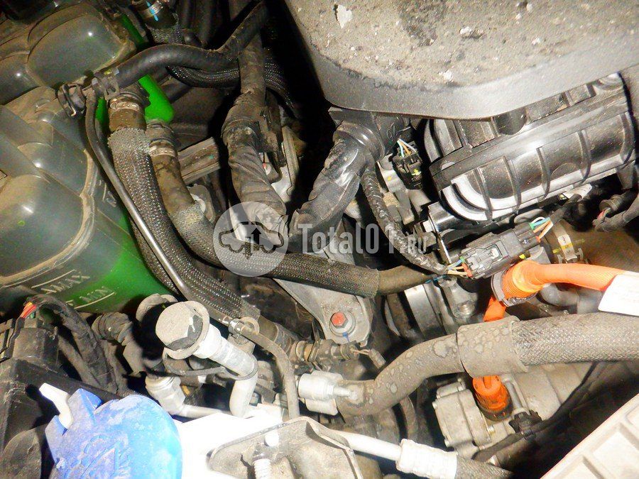 Фото Wey Coffee 01 336