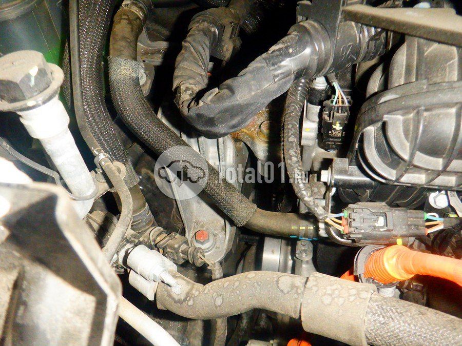 Фото Wey Coffee 01 338