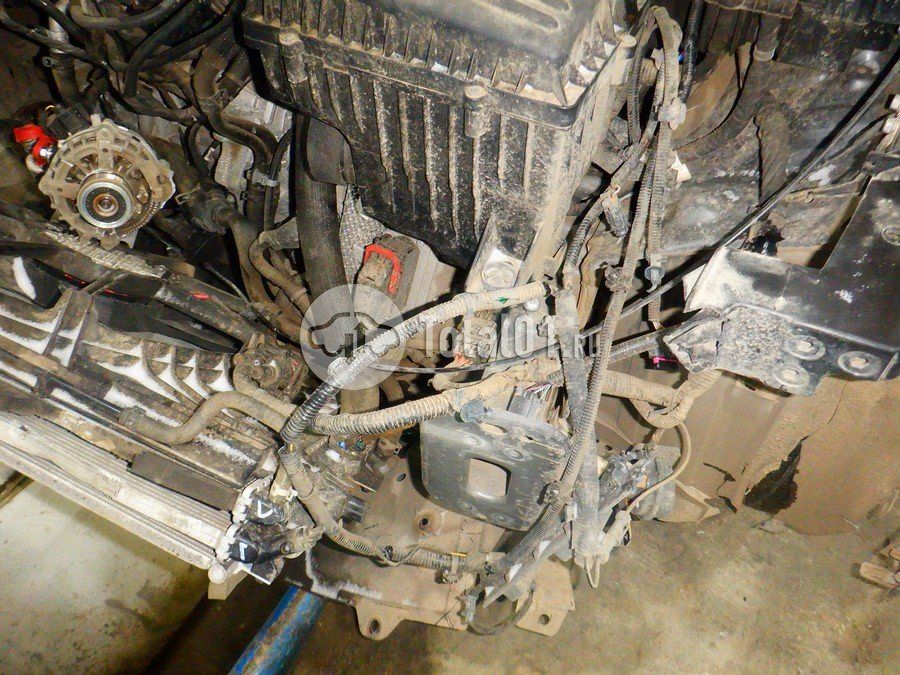 Фото Changan CS55PLUS 256