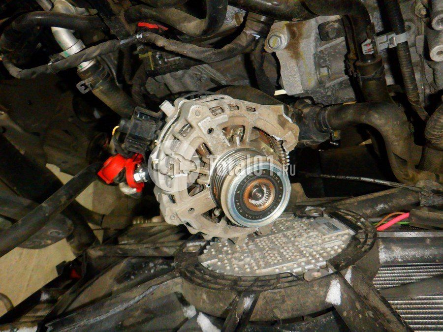 Фото Changan CS55PLUS 268