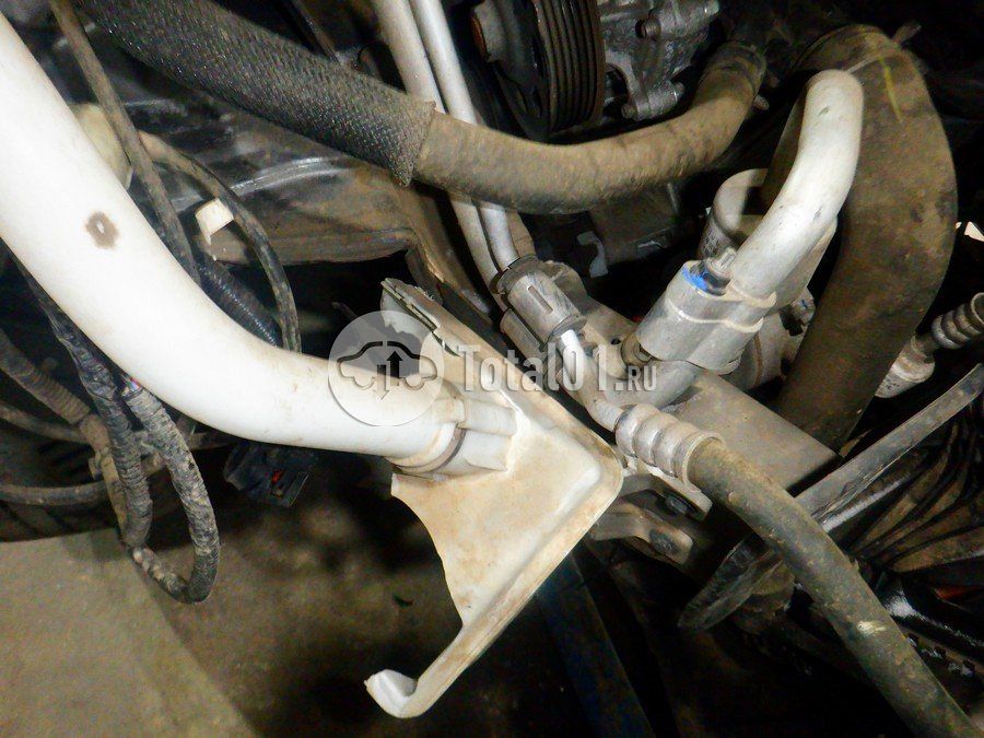 Фото Changan CS55PLUS 310