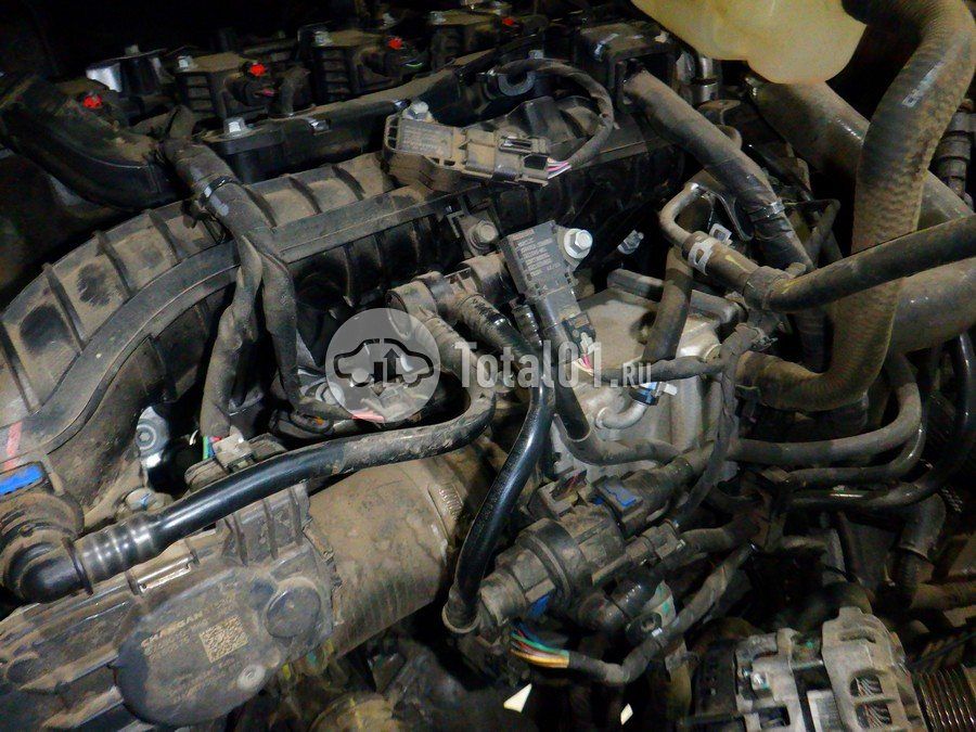 Фото Changan CS55PLUS 324