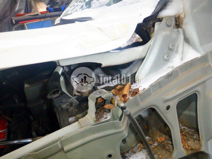 Фото Toyota Land Cruiser 182