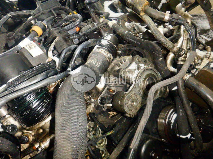 Фото Land Rover Range Rover 232