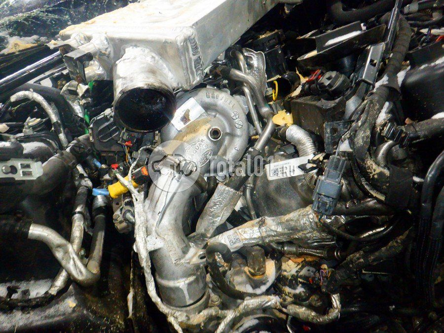 Фото Land Rover Range Rover 324