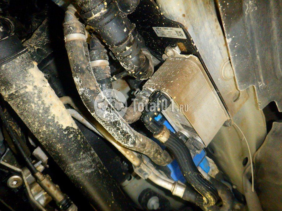 Фото Land Rover Range Rover 364