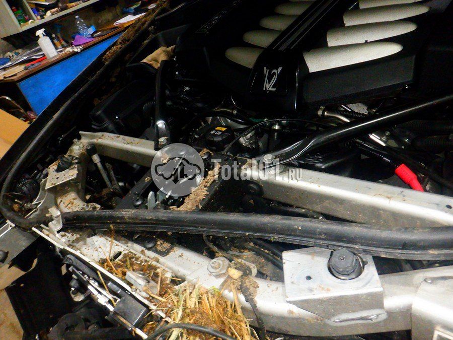 Фото Rolls-Royce Wraith 304