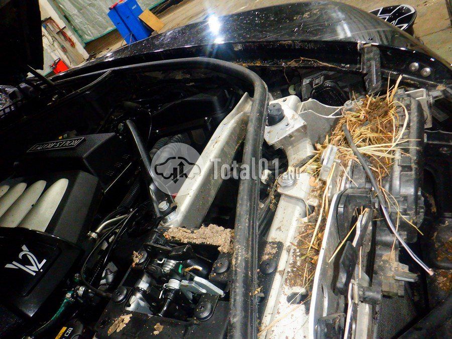 Фото Rolls-Royce Wraith 344