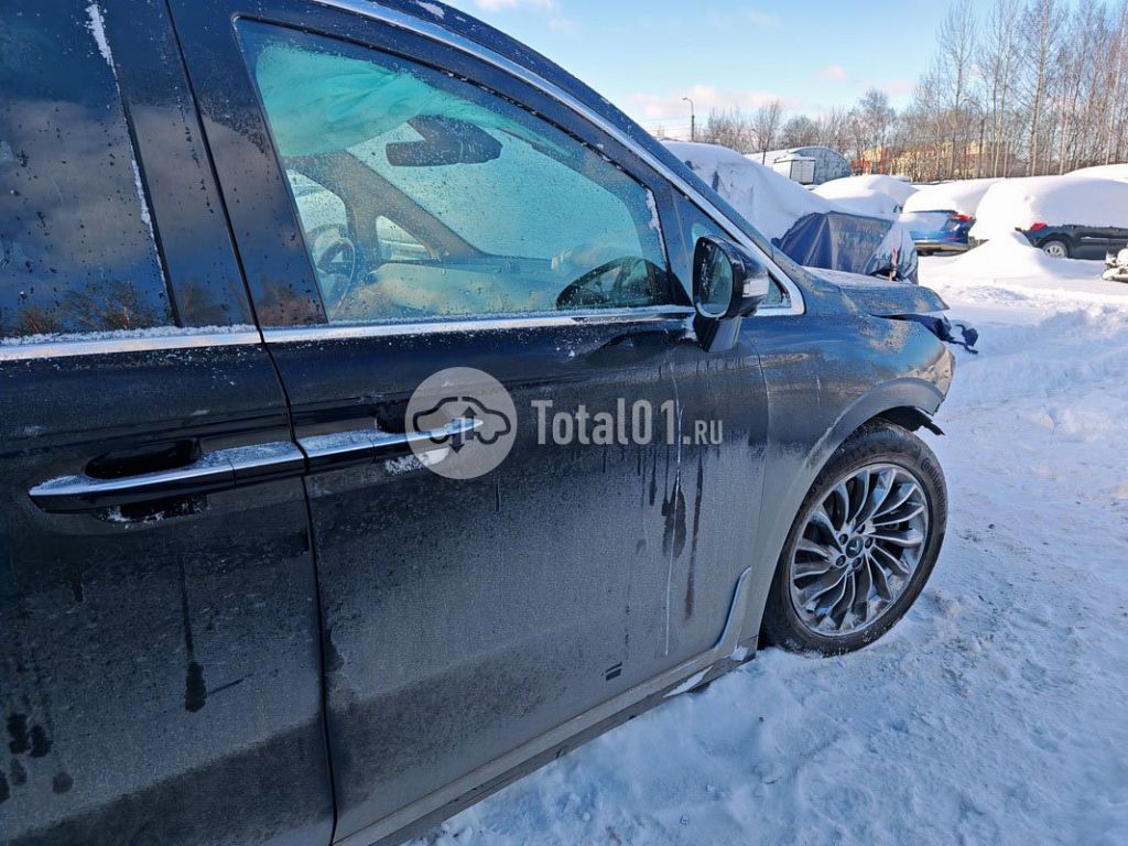 Фото Voyah Dreamer 92