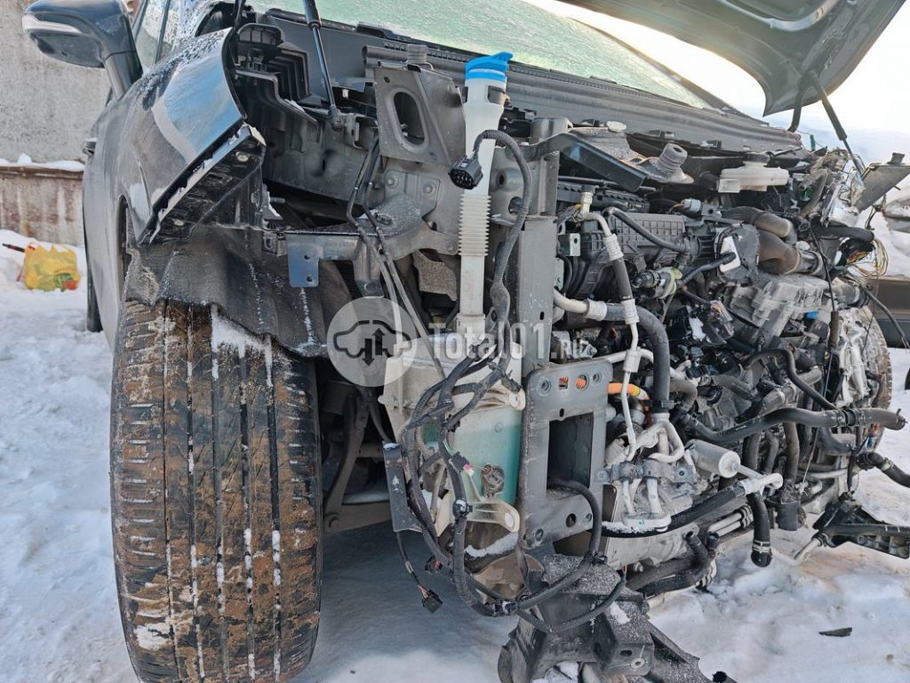 Фото Voyah Dreamer 144