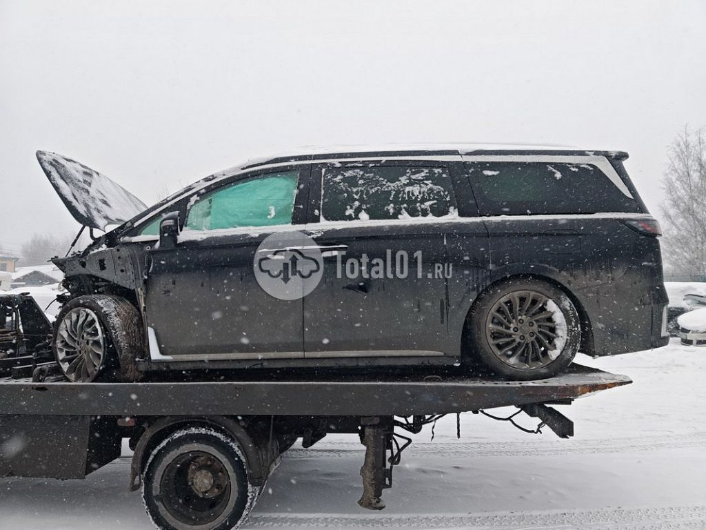 Фото Voyah Dreamer 172