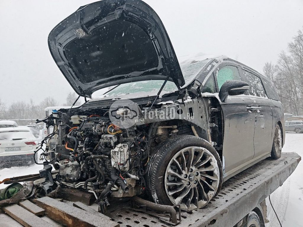 Фото Voyah Dreamer 194