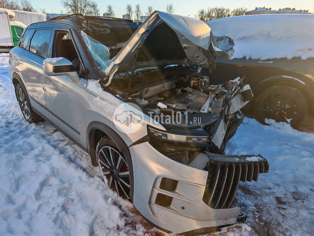 Фото Jaecoo J7 226