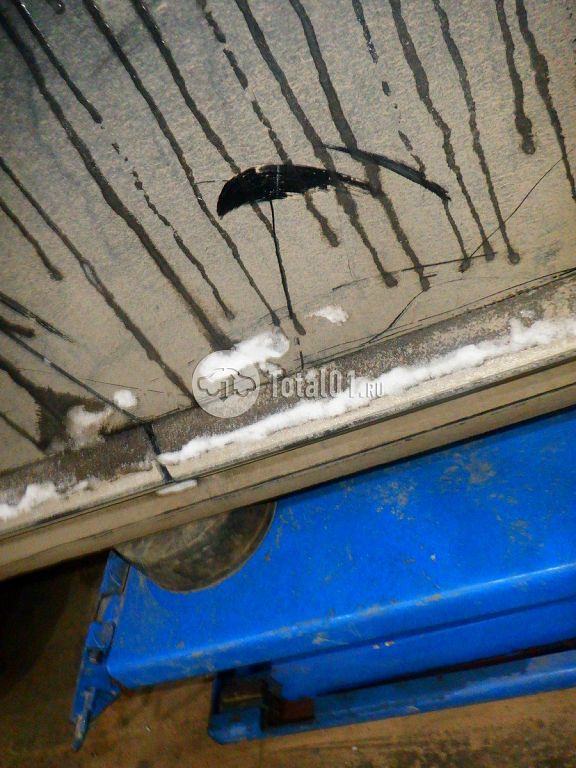 Фото Volkswagen Beetle 98