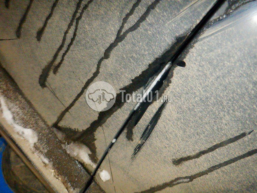 Фото Volkswagen Beetle 100