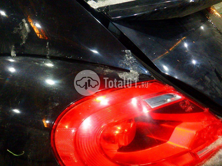 Фото Volkswagen Beetle 144