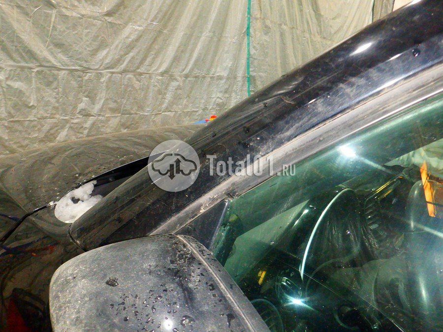 Фото Volkswagen Beetle 184