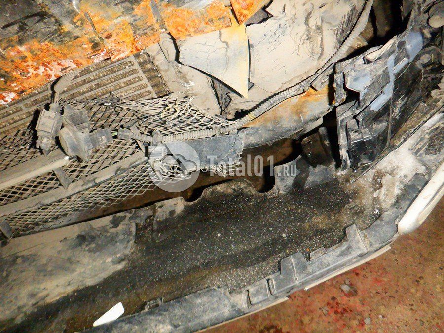 Фото Volkswagen Beetle 218