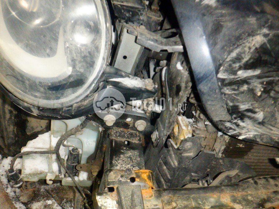 Фото Volkswagen Beetle 234