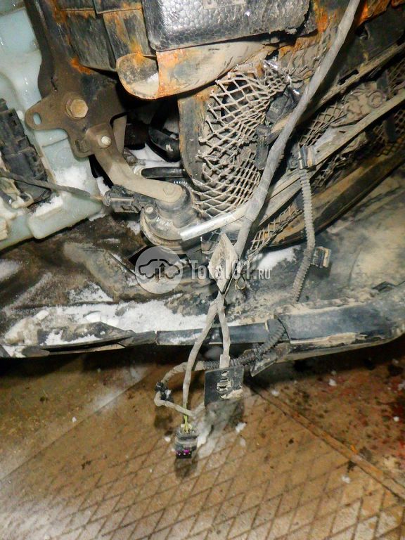 Фото Volkswagen Beetle 238