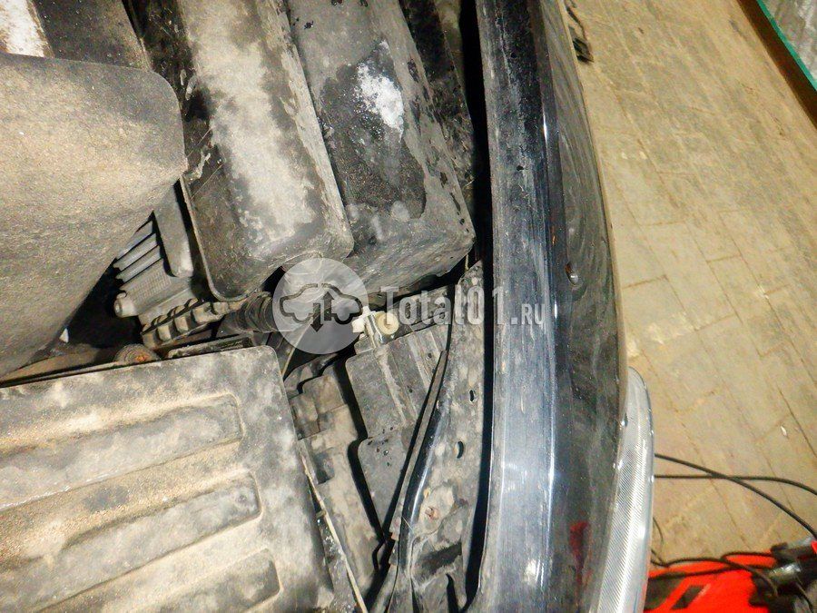 Фото Volkswagen Beetle 258