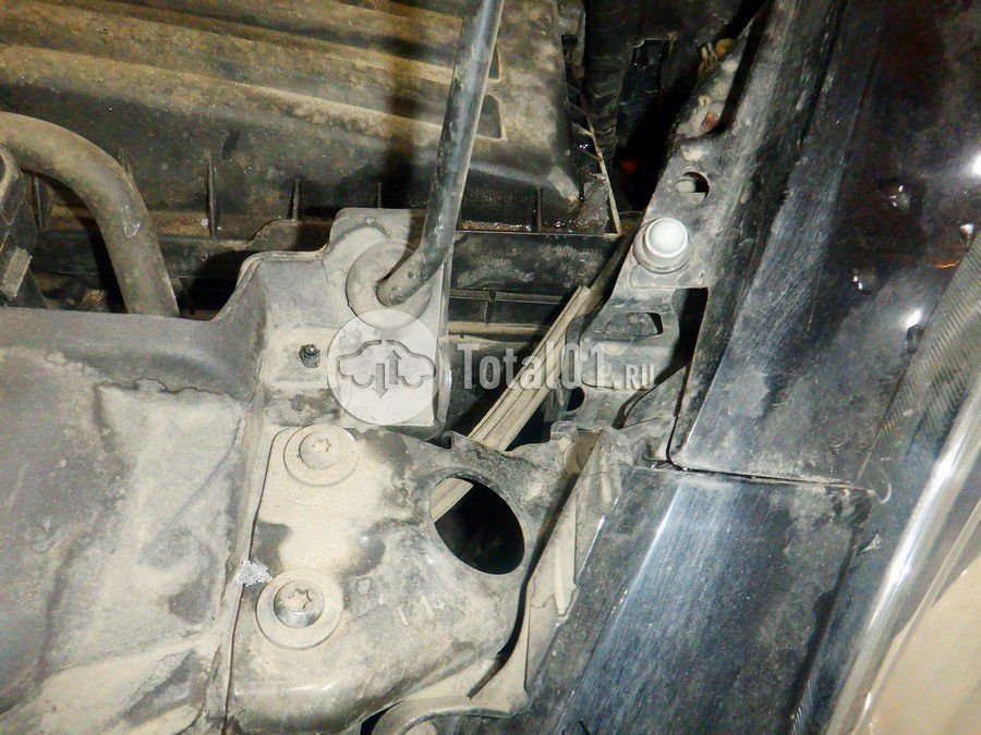 Фото Volkswagen Beetle 260