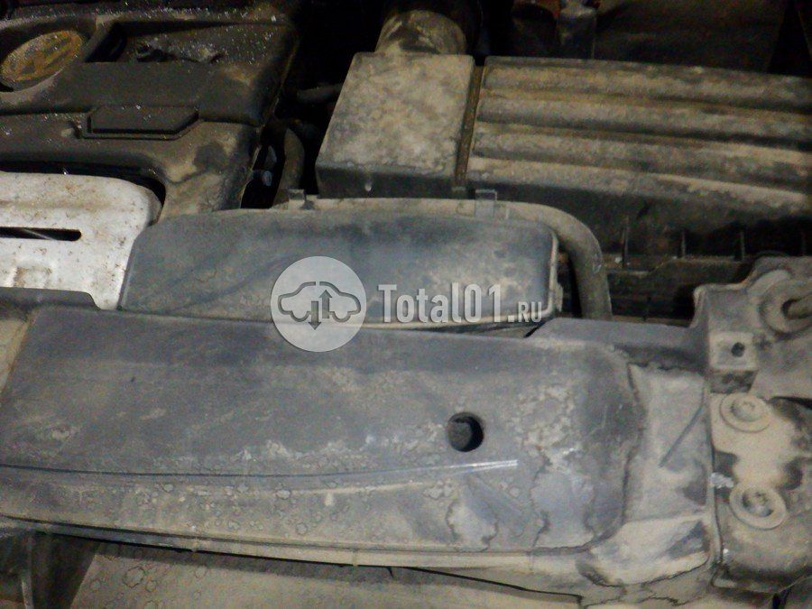 Фото Volkswagen Beetle 262