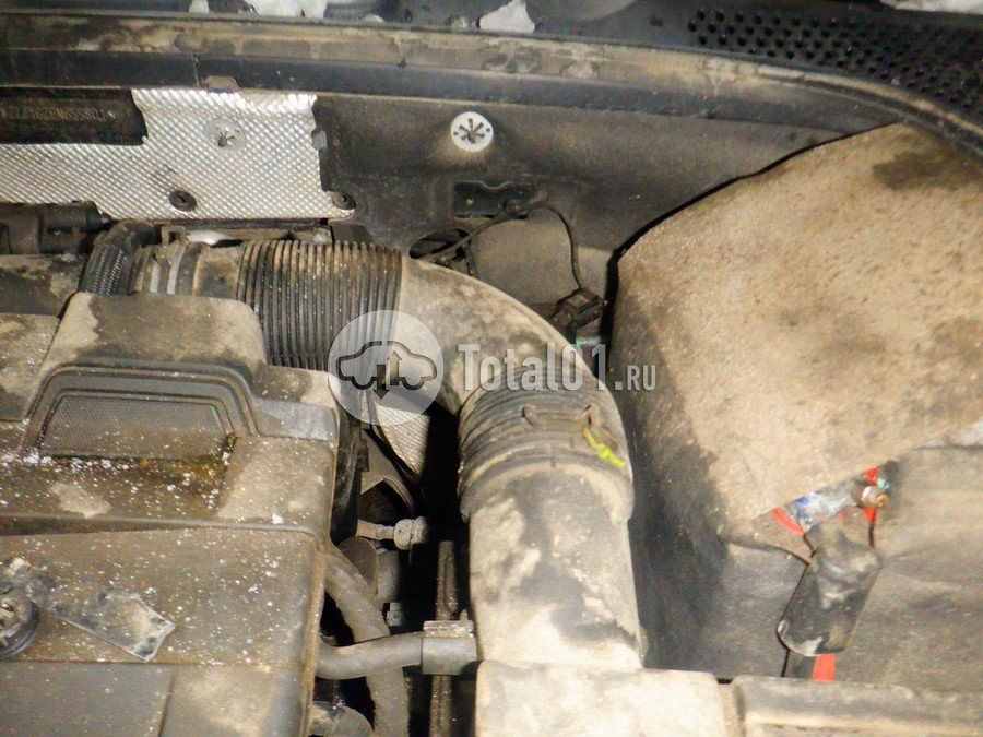 Фото Volkswagen Beetle 264