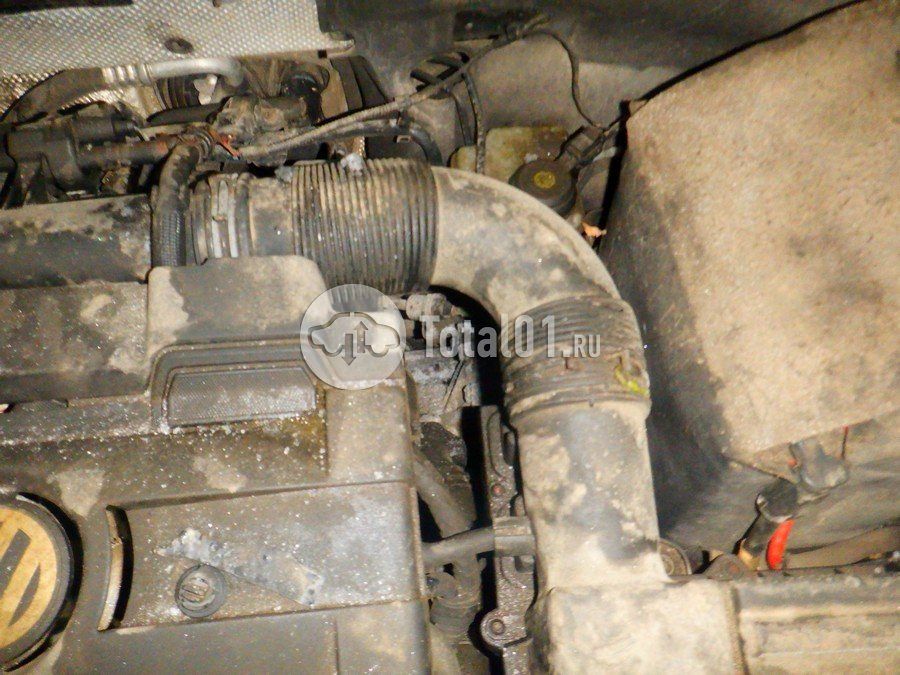 Фото Volkswagen Beetle 268