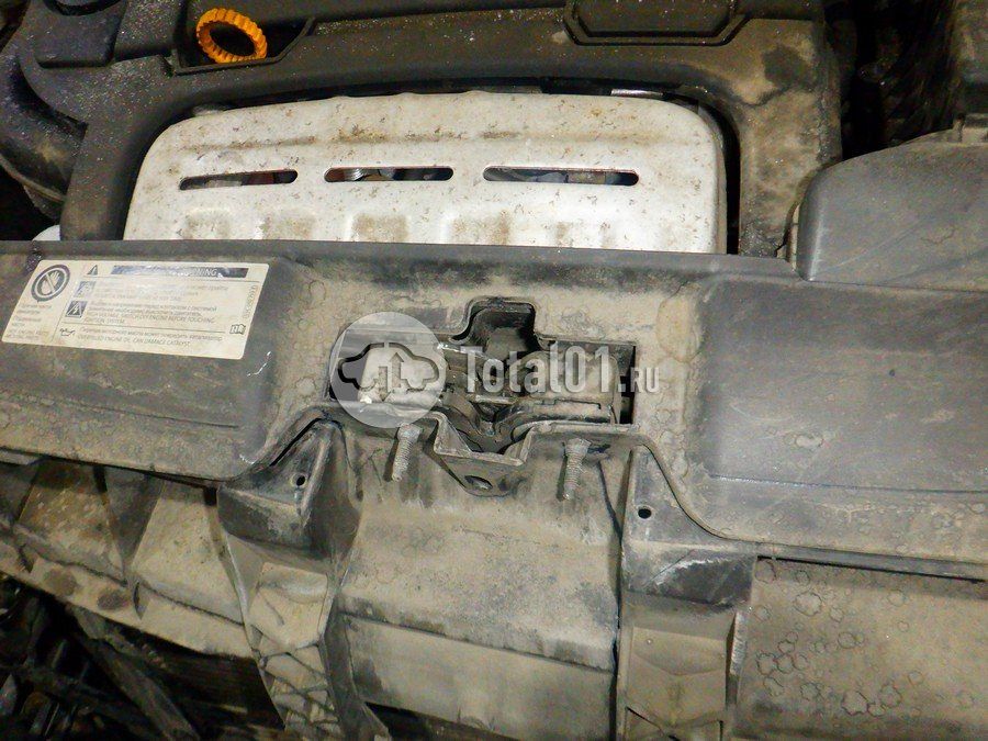 Фото Volkswagen Beetle 274