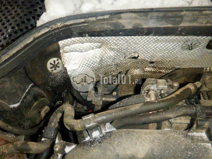 Фото Volkswagen Beetle 276