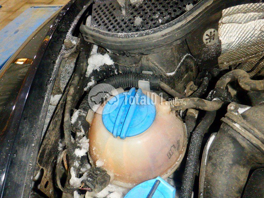 Фото Volkswagen Beetle 278