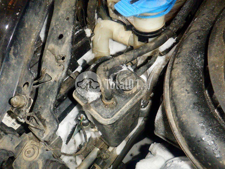 Фото Volkswagen Beetle 282