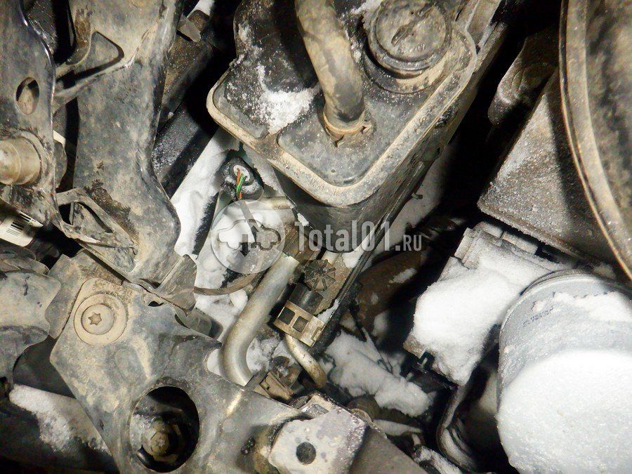 Фото Volkswagen Beetle 284