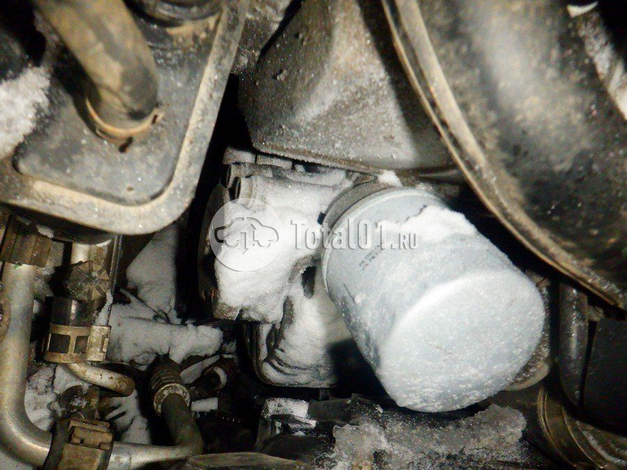 Фото Volkswagen Beetle 286