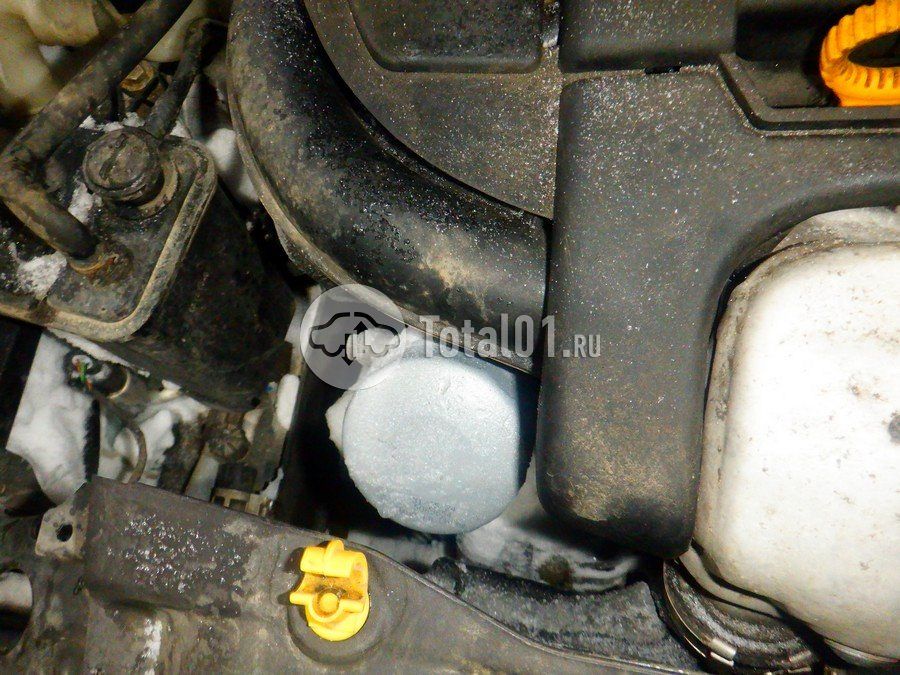 Фото Volkswagen Beetle 288