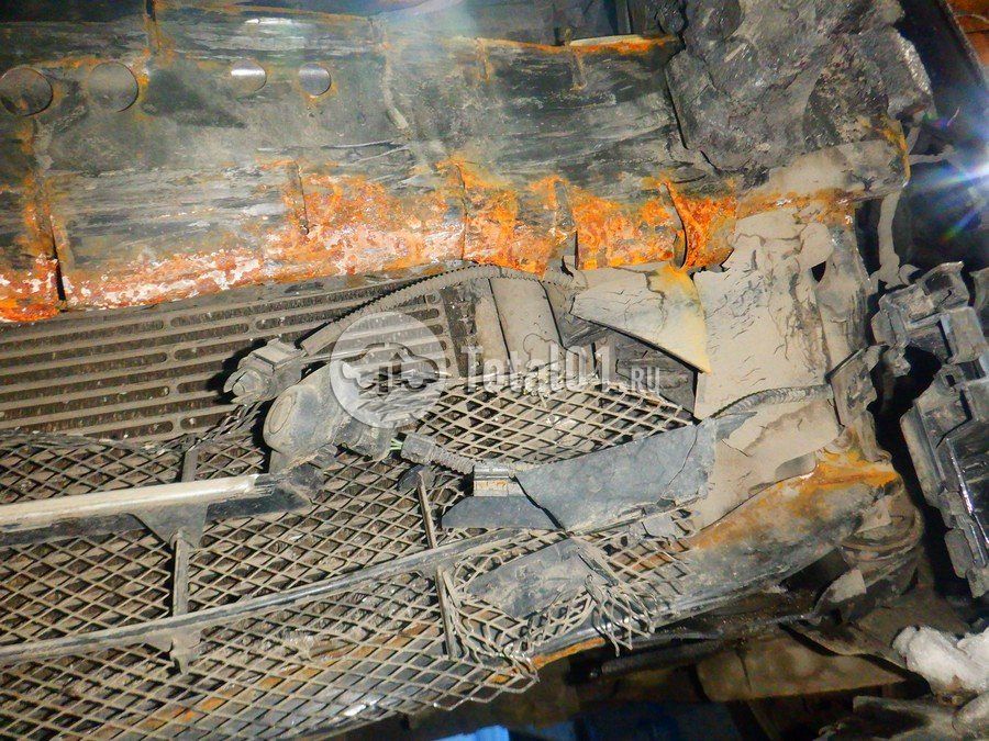 Фото Volkswagen Beetle 310