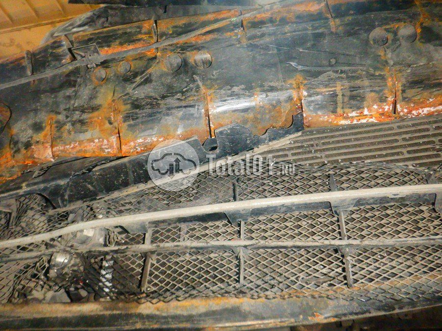 Фото Volkswagen Beetle 312